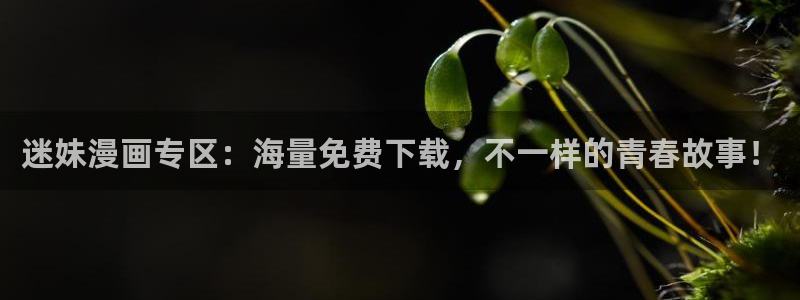 斗罗大陆漫画完整免费观看下拉式奇漫屋